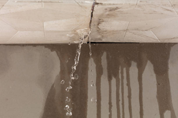 Professional Water Damage Inspection technician working in Jonesboro, TX
